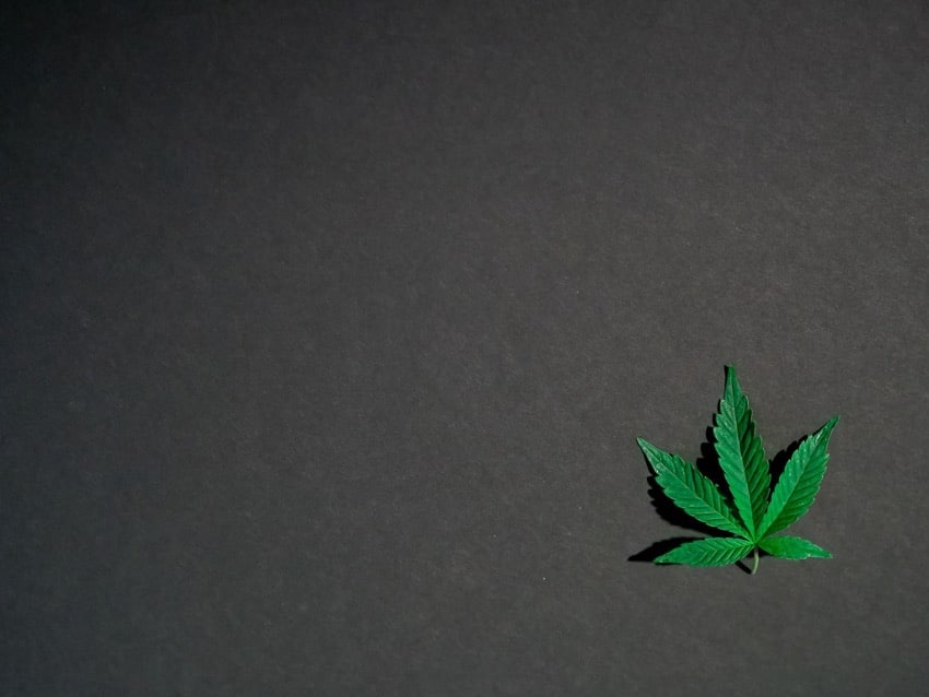¿Cuál es el valor de las palabras clave SEO para el cannabis? - UniK SEO